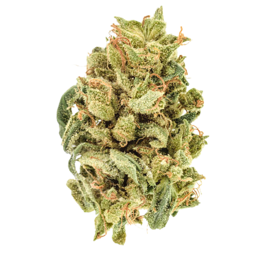  Infused Super Shake - Goofiez (7g)